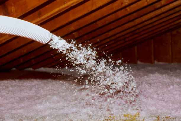 Best Spray Foam Insulation  in Fridley, MN